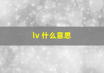 lv 什么意思